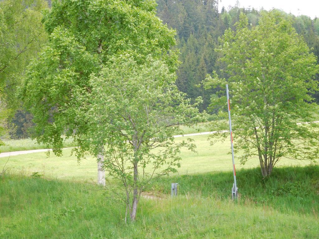 Ferienhaus Grafenhausen Villa Eksteriør bilde