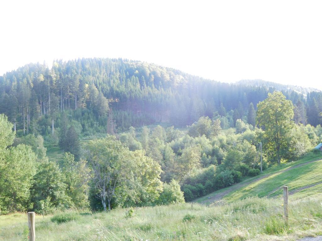 Ferienhaus Grafenhausen Villa Eksteriør bilde